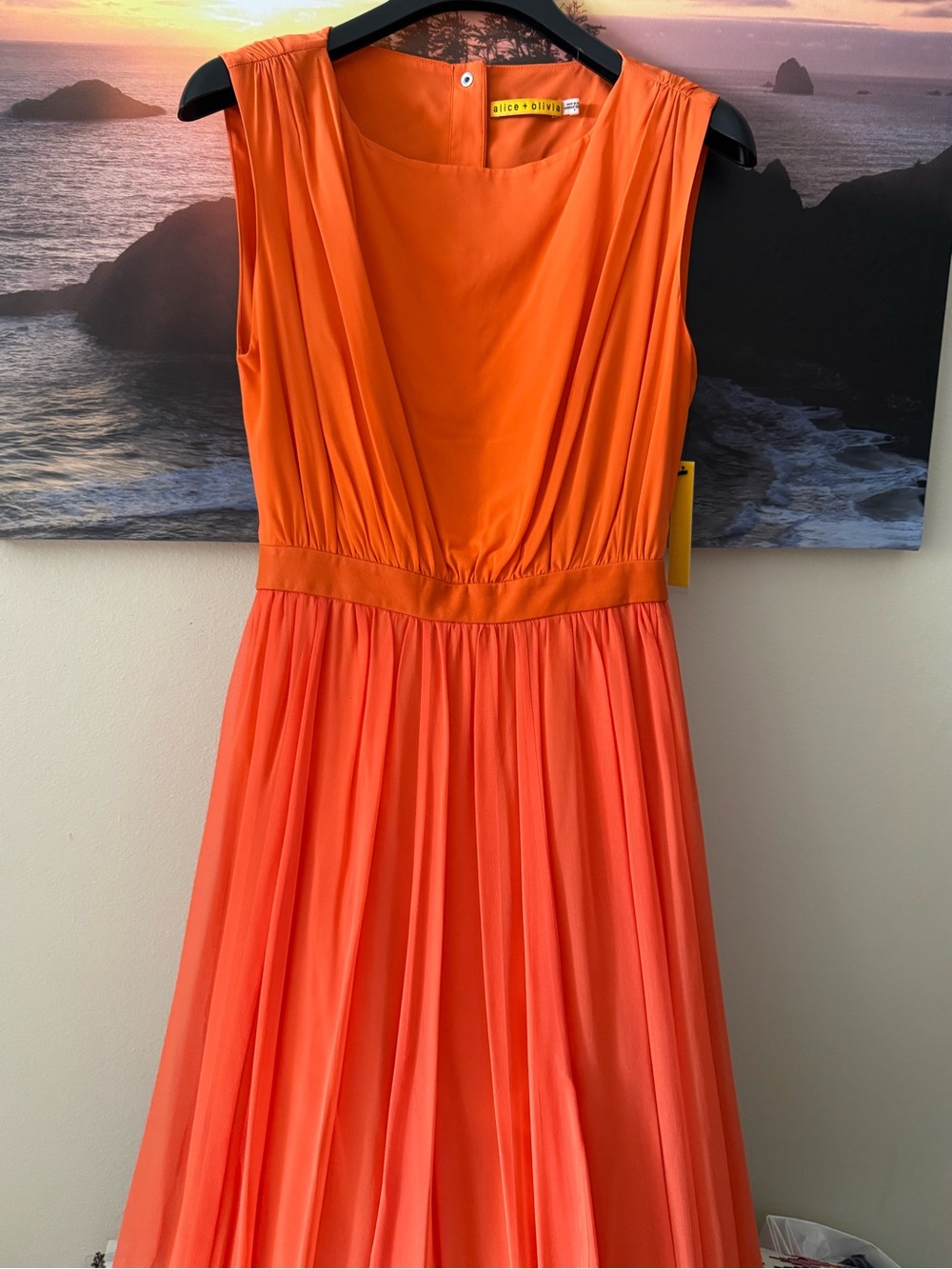 Alice+Olivia by Stacey Bendet Leather Waist Soft Orange Maxi Dress/ Gown/6/NWT - Picture 9 of 17